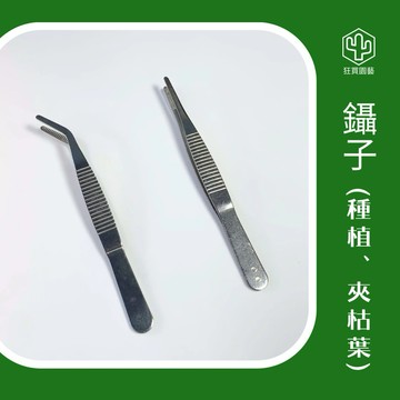 [狂買園藝] 園藝資材 鑷子 夾子 304不鏽鋼材質  拔枯葉 花苗種植 新手必備 園藝夾子