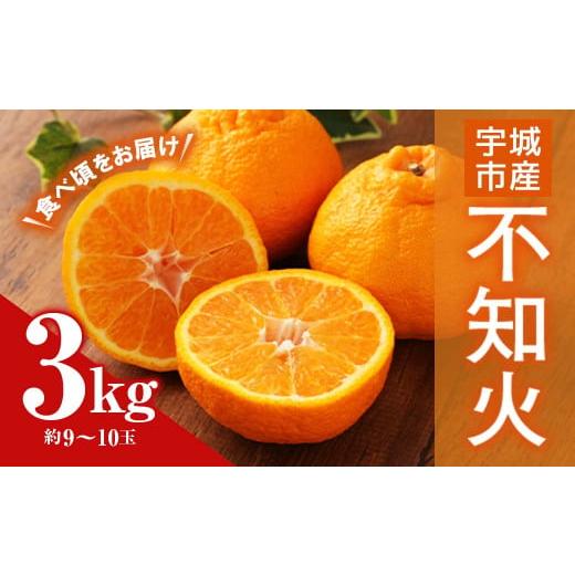 ふるさと納税 熊本県 宇城市 宇城市産 不知火・デコポン 約3kg（9〜10玉）