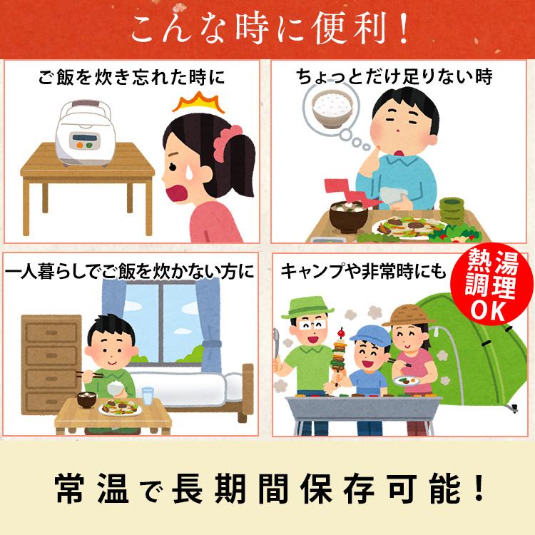 パックご飯 150g×40食パック アイリスオーヤマ レトルトご飯 パックごはん 低温製法米 お米 非常食 防災 仕送り 国産米