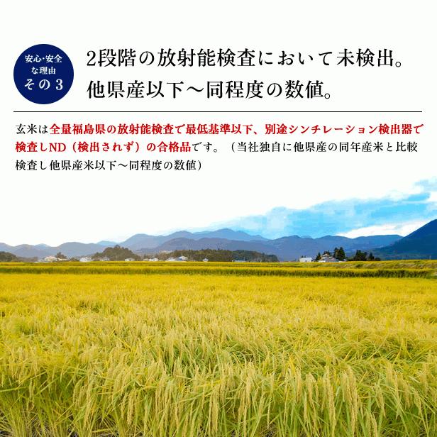 新米 令和5年産 福島県 中通産 ひとめぼれ 玄米 30kg 精白米 27kg  お米