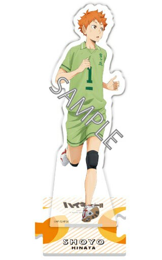 陽光翔陽回憶的場景全身壓剋力立牌排球少年！"