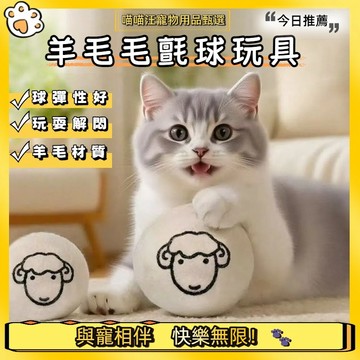【喵喵汪甄選】🐱寵物羊毛球玩具 5CM羊毛球 靜音貓玩具 耐啃咬 寵物球 寵物玩具 貓玩具 逗貓玩具球 逗貓互動
