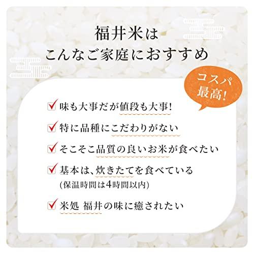 新米 福井県産福井米 白米 令和5年産 (20kg)