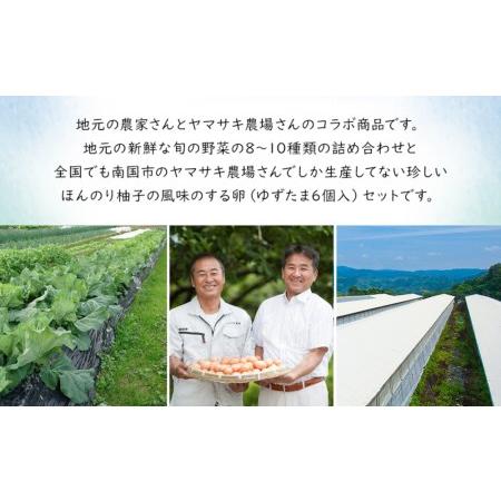 ふるさと納税 高知県産　南国土佐の季節野菜と卵（ゆずたま）の詰め合わせセット【新鮮野菜.. 高知県南国市