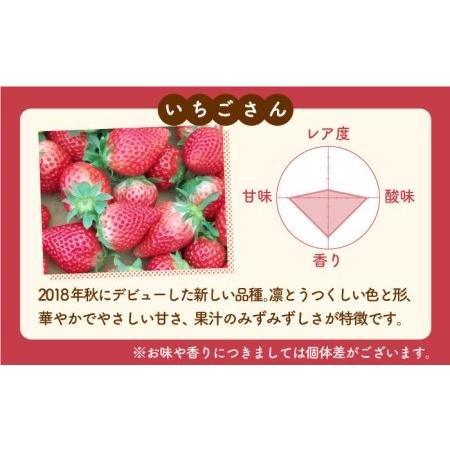 ふるさと納税 食べ比べ！いちごさん＆パールホワイト 詰め合わせ定期便 各品種220g×1パック（計440g以上）【かわ.. 佐賀県白石町