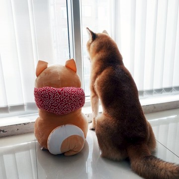 特價  大號倉屋柴犬公仔 送包袱布兜麋鹿帽子 42cm