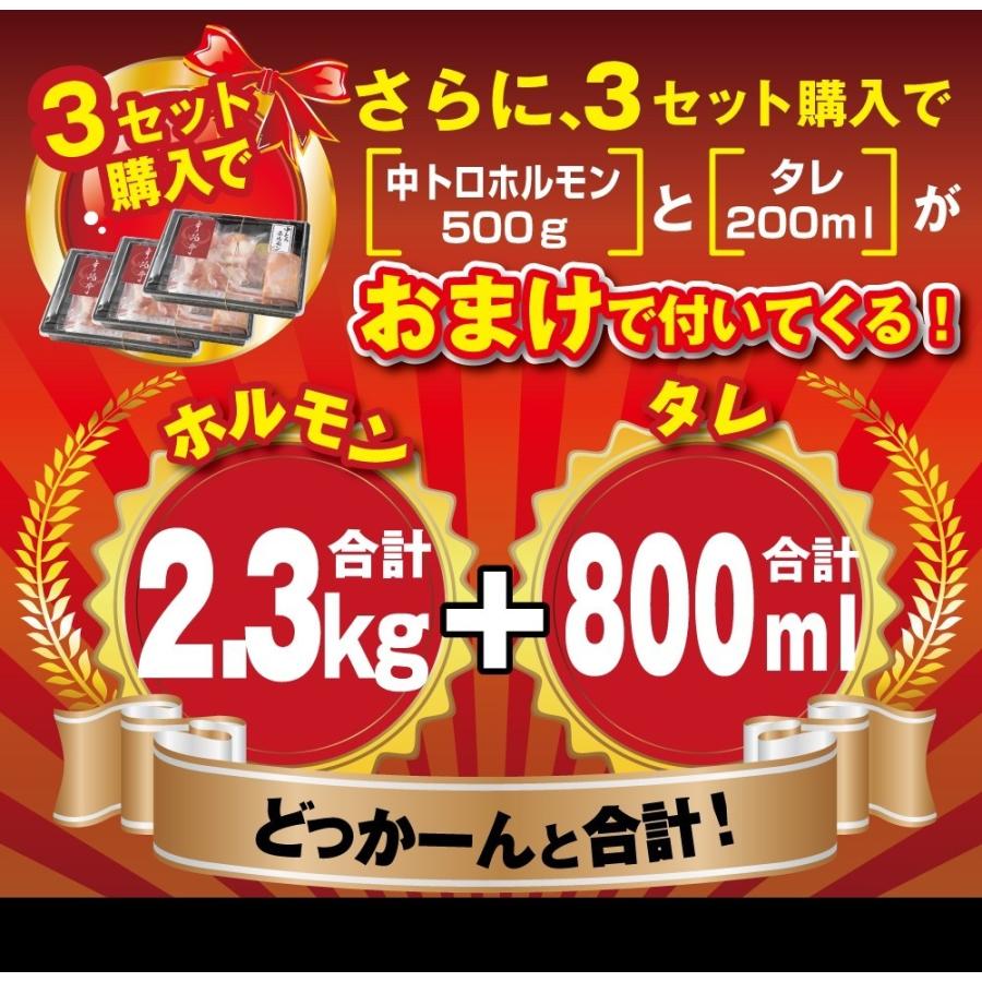 お歳暮 2023 ギフト 御歳暮 のし ホルモン 焼肉 BBQ 焼き肉 肉 ホルモン焼き お取り寄せグルメ 牛肉 中トロ ホルモン 600g(５〜6人前)