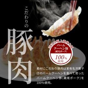 ふるさと納税 堀久餃子本舗冷凍生餃子5箱パック 滋賀県守山市