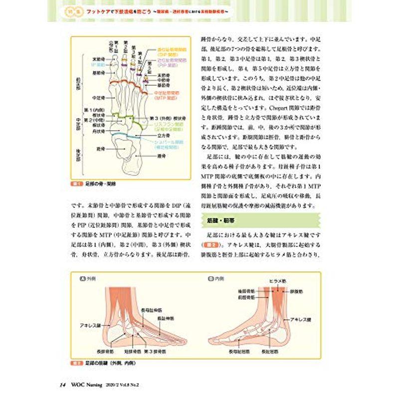 WOC Nursing 2020年2月 Vol.8No.2 特集：フットケアで下肢潰瘍を防ごう ?糖尿病・透析患者における末梢動脈疾患?