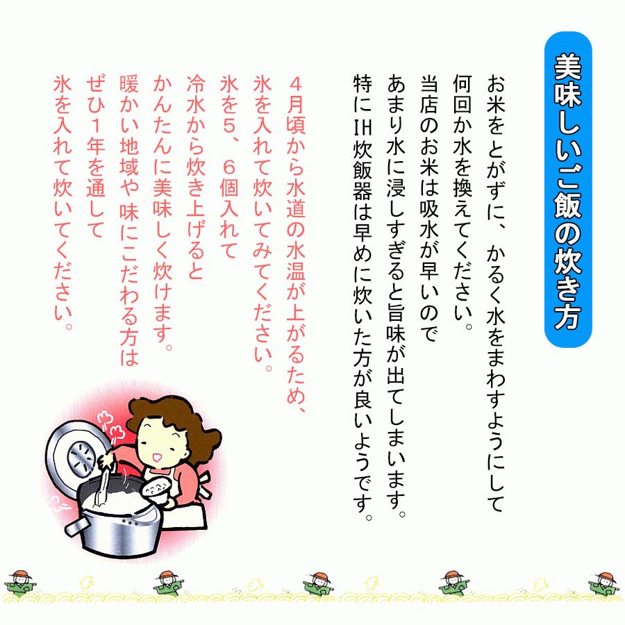 新米 新潟県産 越後下田郷コシヒカリ［天水田米］白米 5kg お米 令和5年産