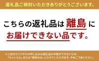 クラウンメロン　アイススティック20本