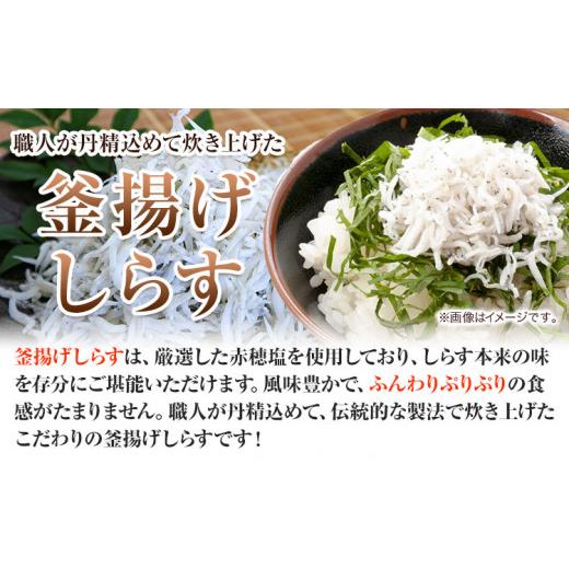 ふるさと納税 和歌山県 日高町 釜あげしらす 化粧箱 900g 大五海産《60日以内に出荷予定(土日祝除く)》和歌山県 日高町 釜揚げ しらす 魚 いわし シラス 釜揚…