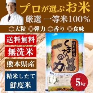 [前田家] 無洗米 プロが選ぶ厳選一等 米 食味ランク 特A くまさんの力 5kg 精米　熊本県産 送料無料