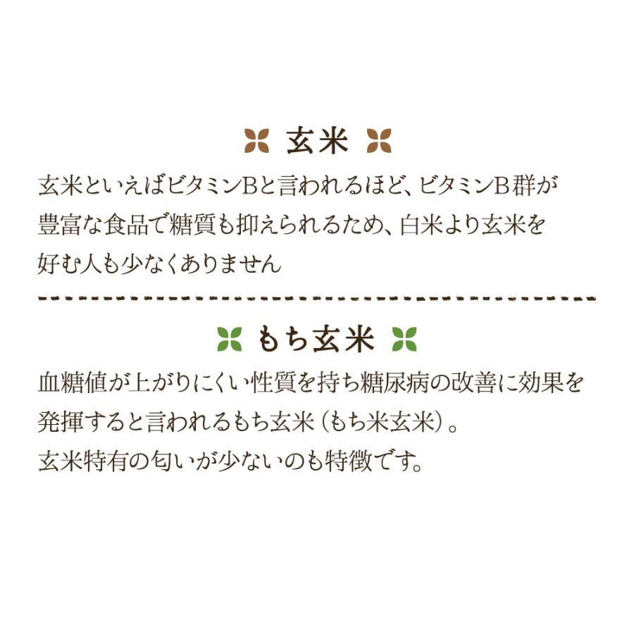 雑穀米 送料無 国産 300g 三十二種 雑穀米300g はと麦 もち麦 雑穀 ミックス もちきび もちあわ 発芽玄米 もち玄米 メール便