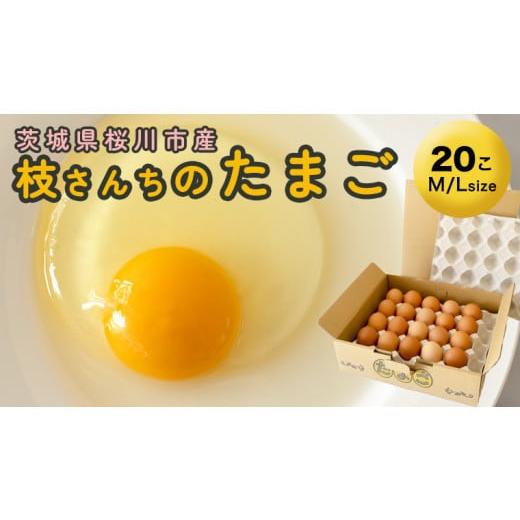 ふるさと納税 茨城県 桜川市  枝さんちのたまご(M〜L20個) 産地直送  餌にこだわり 平飼いでのびのび育った卵[BT001sa]