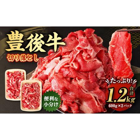 ふるさと納税 切り落とし 1.2kg (600g×2) 焼肉 ステーキ 霜降り 大分県九重町