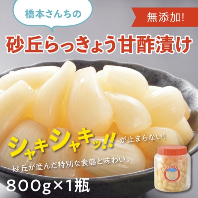 橋本さんちの砂丘らっきょう甘酢漬け 800g(瓶)