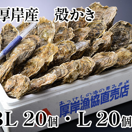 厚岸産 殻かき 3L 20個・L 20個セット (合計40個) 北海道 牡蠣 カキ かき 生食