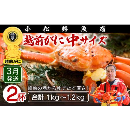 ふるさと納税 越前がに本場の越前町からお届け！越前がに≪浜茹で≫中サイズ（生で500〜600g） × 2杯地元で喜ばれるゆで加.. 福井県越前町