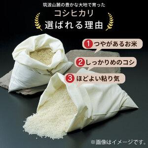 ふるさと納税 令和5年産 茨城県産 コシヒカリ 精米 10kg (5kg×2袋) ※離島への配送不可 茨城県土浦市