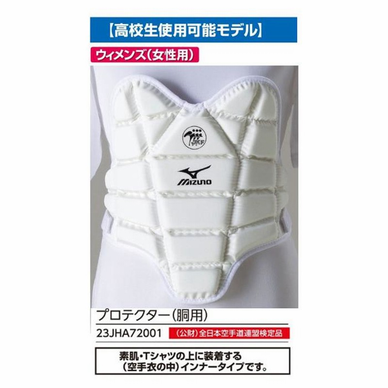 MIZUNO - 空手　防具一式　ミズノ、ヒロタ、東海堂 空手 防具一式 ミズノ、ヒロタ、東海堂