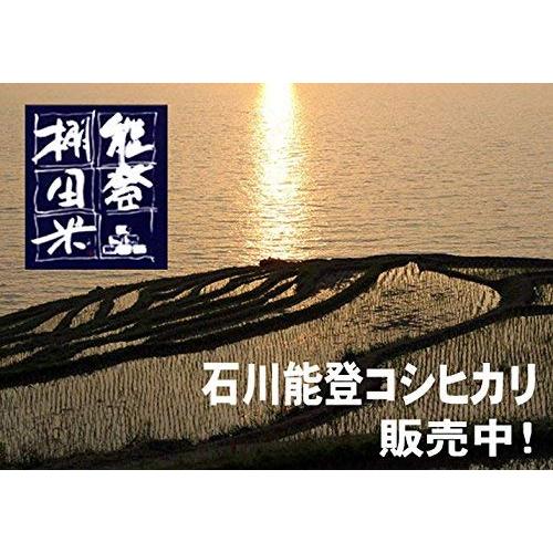 新米 令和5年産 石川産 奥能登 棚田コシヒカリ 10kg (5kg×2袋) 特別栽培米 棚田米 (7分づき 約4.65kg×2袋でお届け)