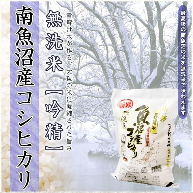 新米 無洗米 10kg 南魚沼産コシヒカリ 吟精 令和5年産 (2kg×5袋) 送料無料 (北海道、九州、沖縄除く)