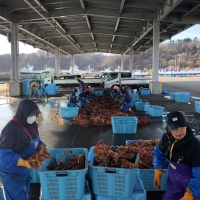 網走特産