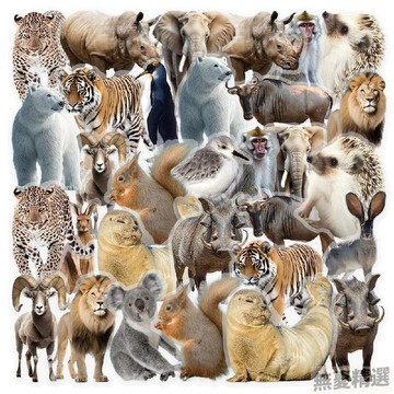 💖嚴選優品100張動物世界PET貼紙冰箱門桌面房門DIY裝飾貼紙高清防水可裁剪