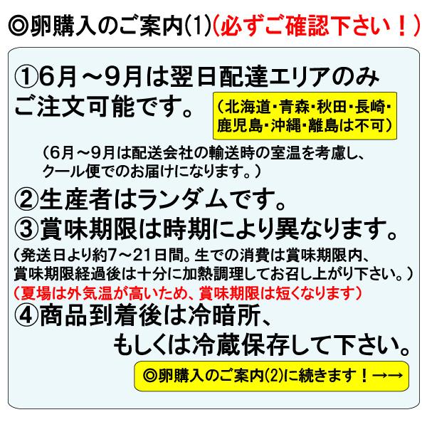 卵 Mサイズ 10kg 約157-172個 業務用 送料無料 夏季クール便