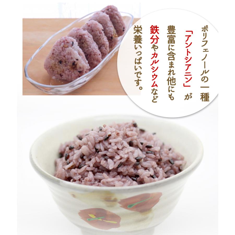 黒米（紫黒苑・古代米）1kg 福井県令和5年産 無農薬・無化学肥料栽培