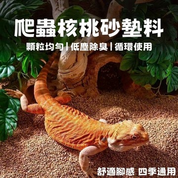 隔日到貨🐾 爬蟲墊材 除臭核桃沙 爬蟲墊料 爬蟲核桃沙 爬蟲核桃砂 核桃砂 核桃沙 核桃砂墊料 核桃沙墊料 爬蟲用品
