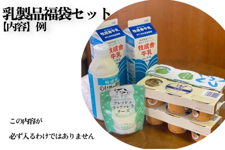 乳製品 訳あり 福袋 ヨーグルト 牛乳 種類おまかせ  訳あり 詰合せ 牧成舎 TR3754