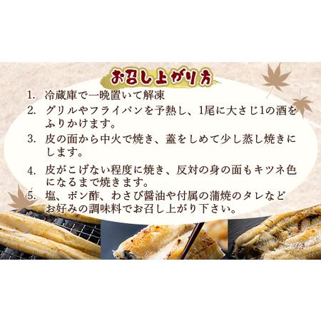 ふるさと納税 吉川水産 高知県産うなぎの白焼特大サイズ(180〜210g)×1尾 タレ付き 自宅用エコ包装 yw-0042 高知県香南市