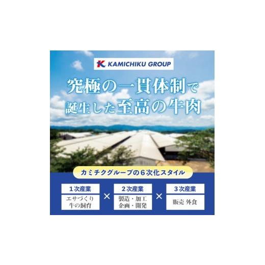 ふるさと納税 鹿児島県 日置市 No.510-2404 ＜2024年4月中に発送予定＞鹿児島県産黒毛和牛ロースステーキ(計540g・180g×3P)