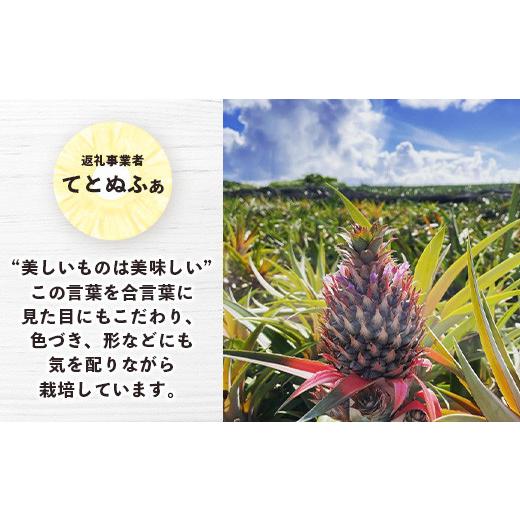 ふるさと納税 沖縄県 石垣市 《2024年6月下旬〜7月下旬発送》最高糖度23度！？ 完熟！7Lサイズ お得な幻のキーツマンゴー【 沖縄 石垣島 石垣 八重…