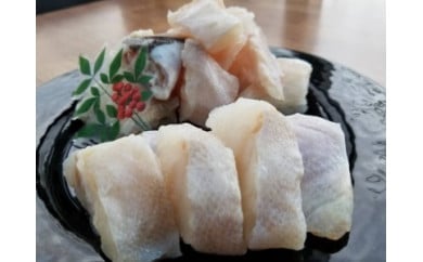 幻の魚　本クエ鍋用　紀州和歌山　500g