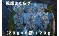 乾燥キクラゲ　120ｇ