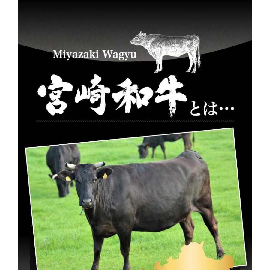 ギフト 宮崎和牛 黒毛和牛 特上カルビ焼肉 600g(200g×3) 希少部位 三角バラ ザブトン ロース A3〜A5ランク 冷凍 クール便 送料無料