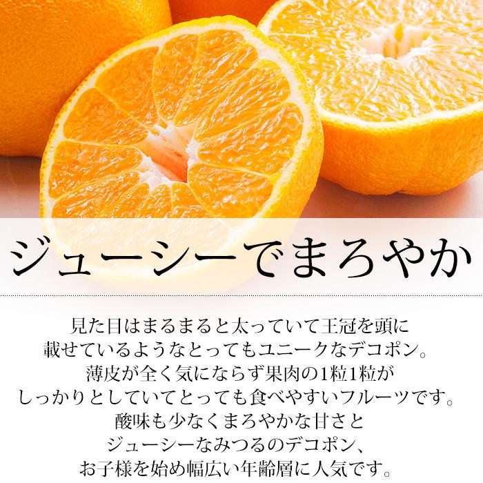 みかん 愛媛県産 デコポン 優品 約5kg 2L〜3Lサイズ 18〜20玉