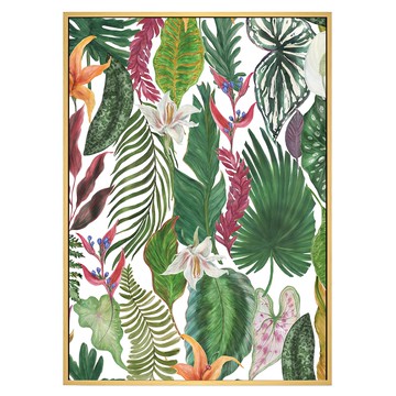 BOLUO GALLERY 菠蘿選畫所 植栽生活 草葉圖集 BFWP4606D  59.4 x 42cm  木色