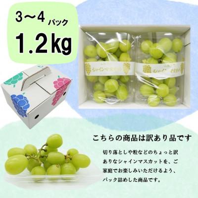 ふるさと納税 山梨市 池田青果のパックシャインマスカット 1.2kg(3〜4パック)