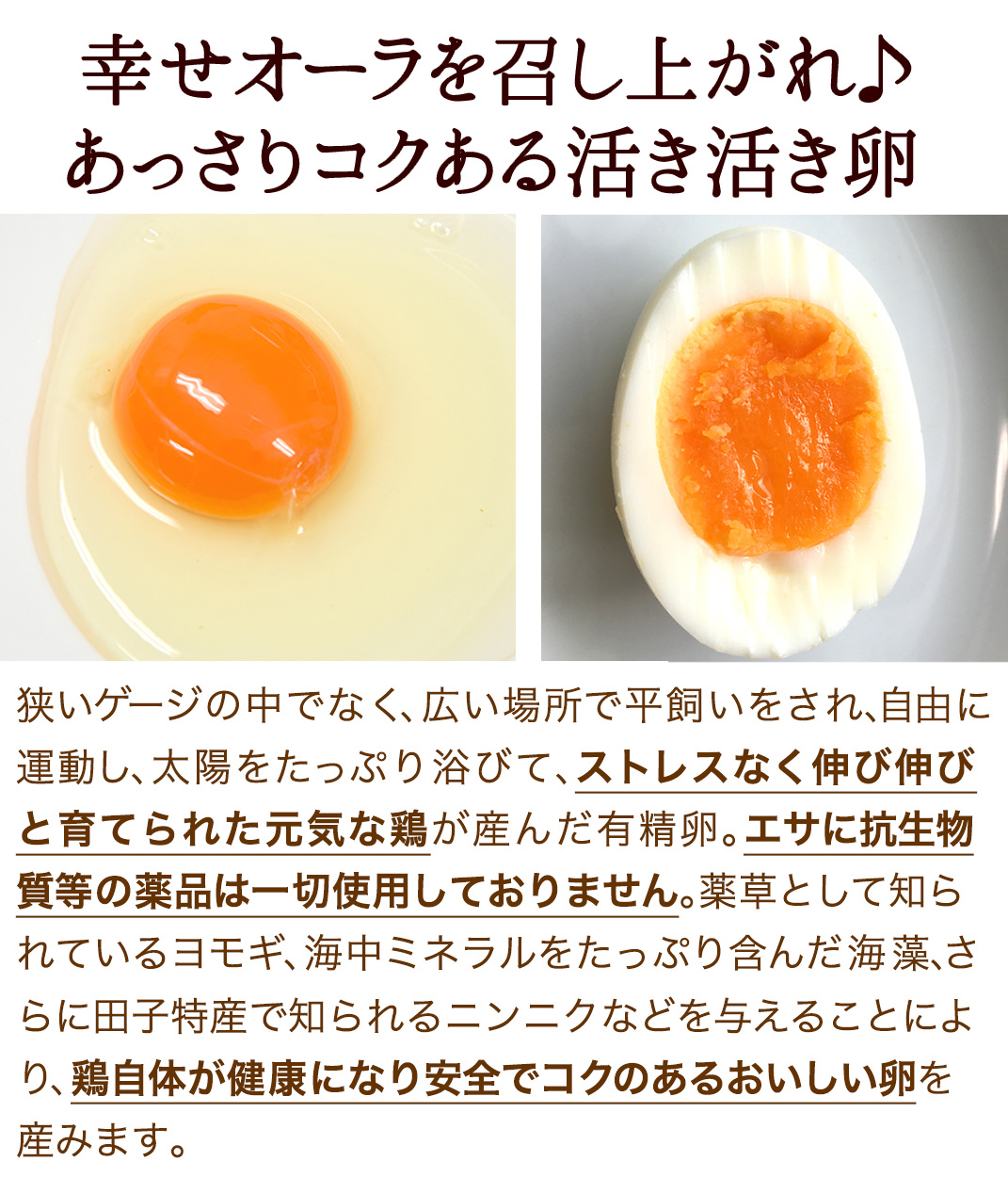 卵 新鮮たまご2種選べるお試しセット〔生卵合計30個入(生卵25個 破損保証5個)〕 玉子 高級 卵かけご飯