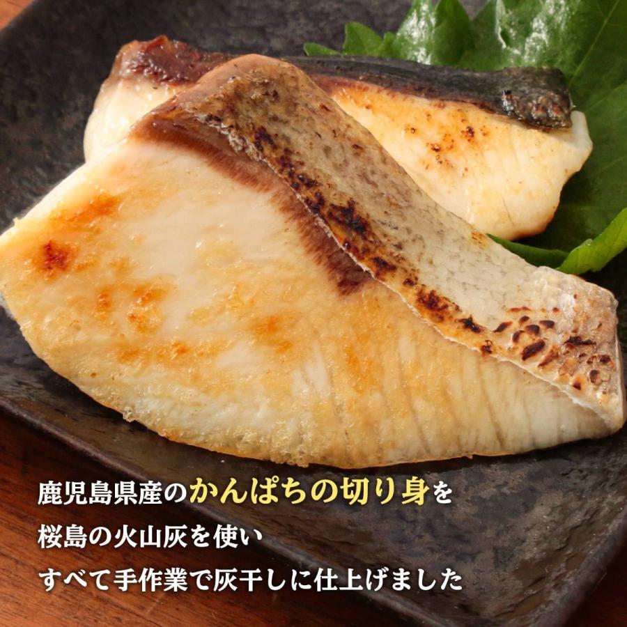 送料無料 [清泉社] 魚介類加工品 かんぱち 2切×4パックセット 干物 ひもの おつまみ 灰干し 桜島 鹿児島 手作り