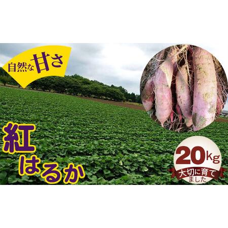 ふるさと納税 No.413 紅はるか20kg 茨城県坂東市