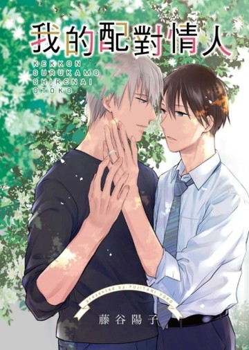 我的配對情人（全）【二手書_良好】TAAZE讀冊生活