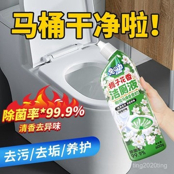 臺灣出貨🚚潔廁噴霧 香氛潔廁泡泡噴霧 香氛潔廁泡泡 香氛潔厠劑 馬桶清潔劑 馬桶除臭劑 廁所潔厠液 水垢清潔劑 潔廁劑