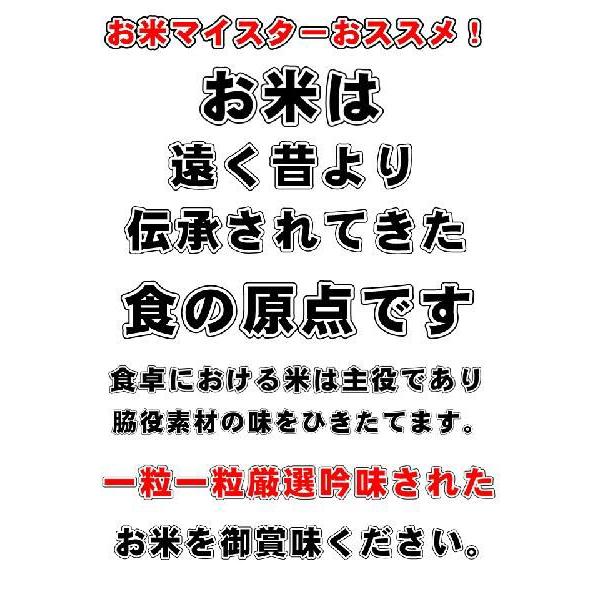 お米　米送料無料　５年度産長野県産ミルキークイーン5Kg　精米したてで出荷