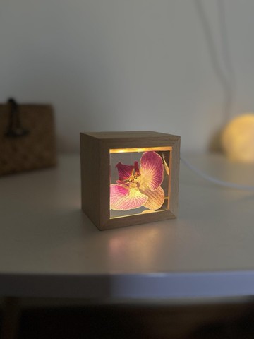 粉蘭凝駐|蝴蝶蘭樹脂水晶球