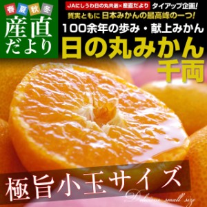 愛媛県より産地直送 JAにしうわ 日の丸みかん 千両 極旨小玉サイズ 5キロ（60玉から80玉） 蜜柑 ミカン  送料無料　お歳暮_fg